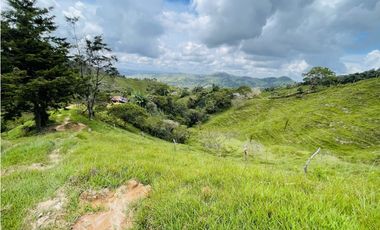 Se vende finca de 7 Hectáreas en San Roque, Antioquia