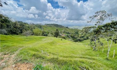 Se vende finca de 7 Hectáreas en San Roque, Antioquia