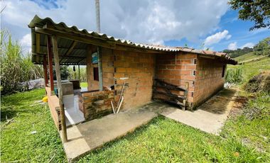 Se vende finca de 7 Hectáreas en San Roque, Antioquia
