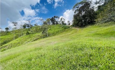 Se vende finca de 7 Hectáreas en San Roque, Antioquia