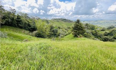 Se vende finca de 7 Hectáreas en San Roque, Antioquia