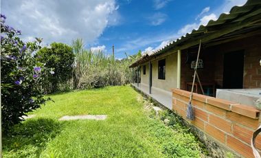 Se vende finca de 7 Hectáreas en San Roque, Antioquia