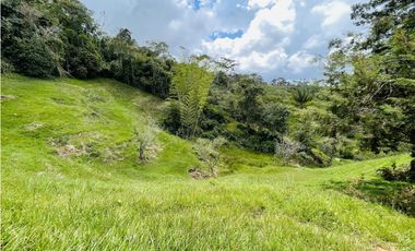 Se vende finca de 7 Hectáreas en San Roque, Antioquia