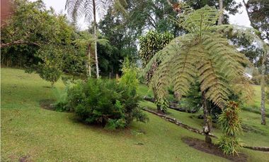 FINCA EL RETIRO, ANTIOQUIA CERCA VEREDA LOS SALADOS