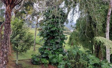 FINCA EL RETIRO, ANTIOQUIA CERCA VEREDA LOS SALADOS