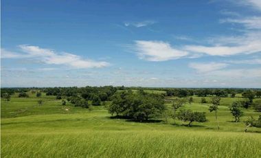 Se vende 53 hectareas de tierra entre buenavista y la apartada