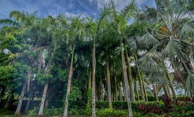 FINCA EN ARRIENDO POR DAS EN BERASTEGUI