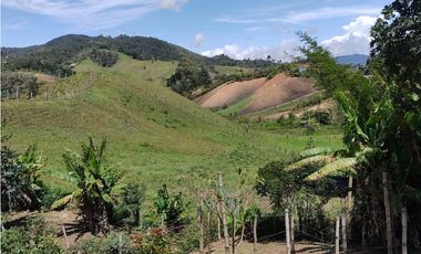 Vendo Casa Campestre en El Alto del Choco - Vía Marinilla  El Peñol