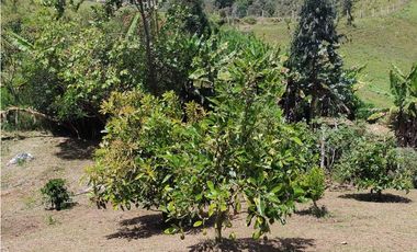 Vendo Casa Campestre en El Alto del Choco - Vía Marinilla  El Peñol