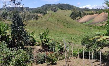 Vendo Casa Campestre en El Alto del Choco - Vía Marinilla  El Peñol