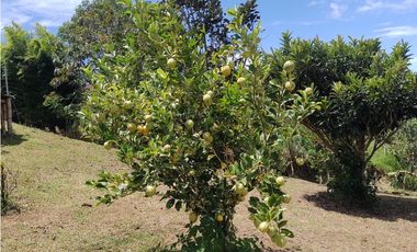 Vendo Casa Campestre en El Alto del Choco - Vía Marinilla  El Peñol