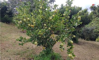 Vendo Casa Campestre en El Alto del Choco - Vía Marinilla  El Peñol