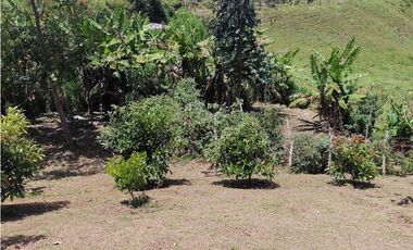 Vendo Casa Campestre en El Alto del Choco - Vía Marinilla  El Peñol
