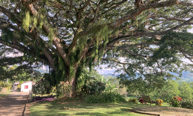 HERMOSA  FINCA EN TRES PUERTAS CAP DESDE 10 -  17 PAX