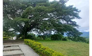 HERMOSA  FINCA EN TRES PUERTAS CAP DESDE 10 -  17 PAX