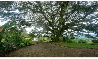 HERMOSA  FINCA EN TRES PUERTAS CAP DESDE 10 -  17 PAX