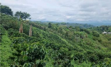 Finca cafetera con casa tipica antioqueña en filandia