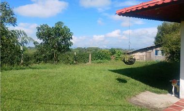 Finca cafetera con casa tipica antioqueña en filandia
