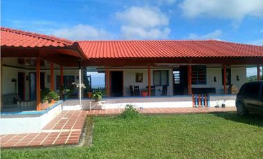Finca cafetera con casa tipica antioqueña en filandia