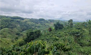 Finca cafetera con casa tipica antioqueña en filandia