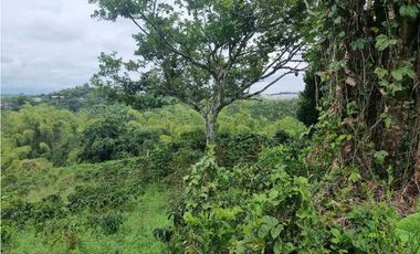 Finca cafetera con casa tipica antioqueña en filandia