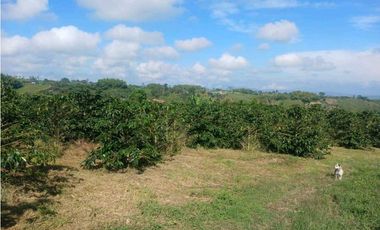 Finca cafetera con casa tipica antioqueña en filandia