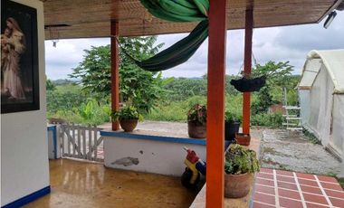 Finca cafetera con casa tipica antioqueña en filandia
