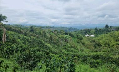 Finca cafetera con casa tipica antioqueña en filandia