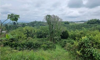 Finca cafetera con casa tipica antioqueña en filandia