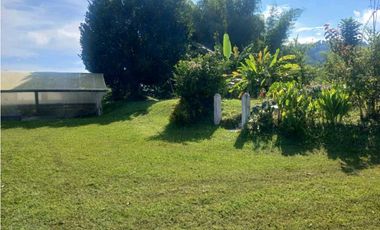 Finca cafetera con casa tipica antioqueña en filandia