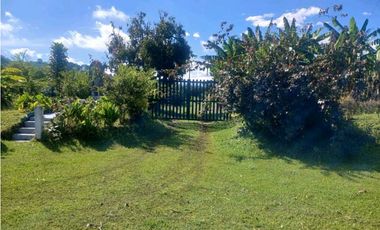 Finca cafetera con casa tipica antioqueña en filandia