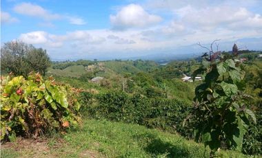 Finca cafetera con casa tipica antioqueña en filandia