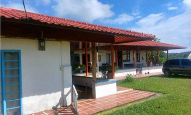 Finca cafetera con casa tipica antioqueña en filandia