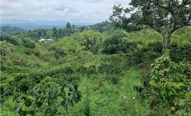 Finca cafetera con casa tipica antioqueña en filandia
