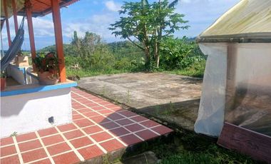 Finca cafetera con casa tipica antioqueña en filandia