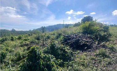 Finca cafetera con casa tipica antioqueña en filandia