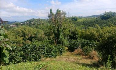Finca cafetera con casa tipica antioqueña en filandia