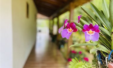 Vendo casa campestre en Santo Domingo, Antioquia