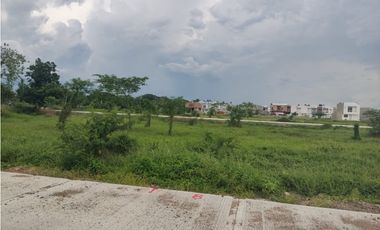VENDE LOTES CERCA DE LA TERMINAL DE TRANSPORTES DE MONTERIA