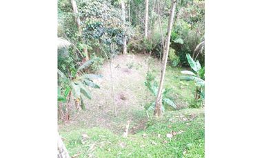 Se vende finca sabaneta ,el Romeral