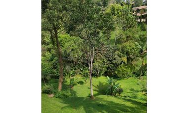 Se vende finca sabaneta ,el Romeral