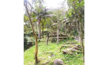 Se vende finca sabaneta ,el Romeral