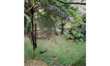 Se vende finca sabaneta ,el Romeral