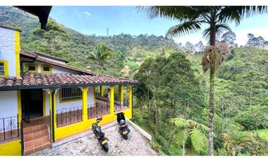 Se vende finca sabaneta ,el Romeral