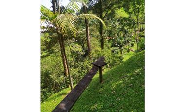 Se vende finca sabaneta ,el Romeral