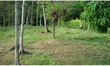 VENTA LOTE INDEPENDIENTE, SAN JERÓNIMO-ANT