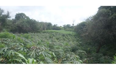 Venta lote en Santa Marta, Magdalena