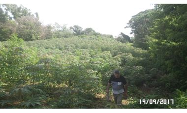 Venta lote en Santa Marta, Magdalena