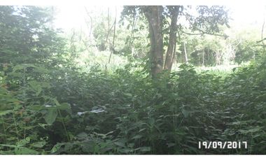 Venta lote en Santa Marta, Magdalena