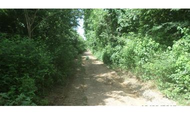 Venta lote en Santa Marta, Magdalena